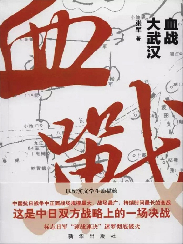 血战大武汉
